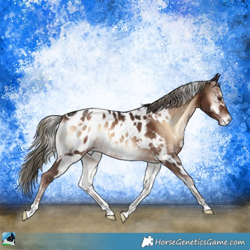 Horse Color:White Spotted Liver Red Onyx Mushroom Appaloosa 