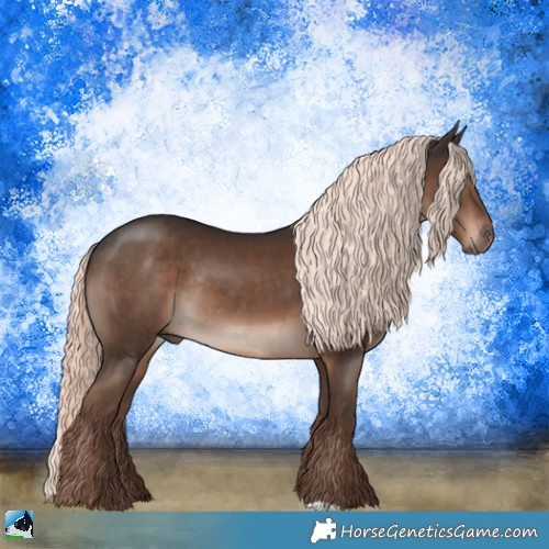 Horse Color:Liver Chestnut Mushroom Rabicano 