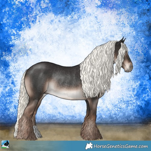 Horse Color:Liver Chestnut Mushroom Rabicano 