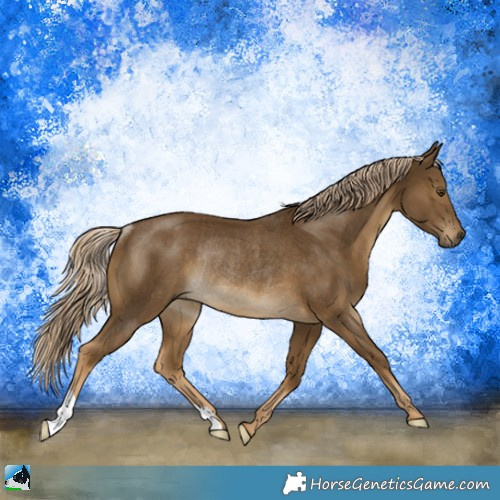 Horse Color:Chocolate Palomino Mushroom Rabicano 