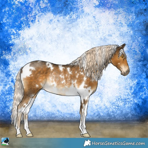 Horse Color:White Spotted Chocolate Palomino Mushroom Rabicano 