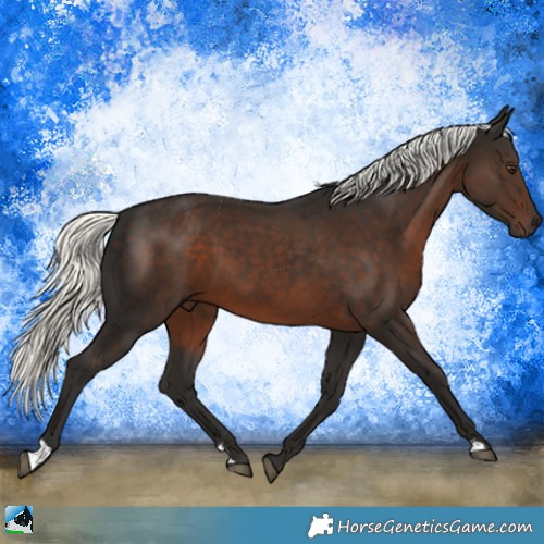 Horse Color:Liver Chestnut Mushroom 