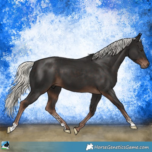 Horse Color:Liver Chestnut Mushroom Sabino 