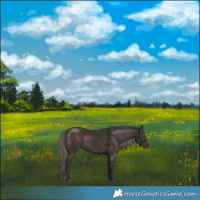 Horse Color:Liver Chestnut Mushroom Sabino