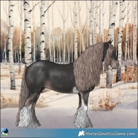 Horse Color:Platinum Liver Chestnut Tobiano 