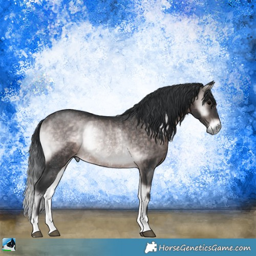 Horse Color:Platinum Brown Onyx Rabicano 
