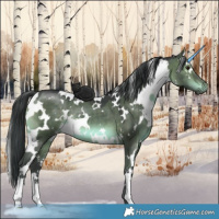 Horse Color:White Spotted Brown Dun 