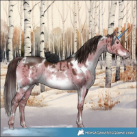 Horse Color:White Spotted Liver Red Dun Brindle 
