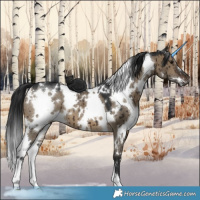 Horse Color:Gray White Spotted Brown Dun Brindle 