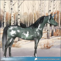 Horse Color:White Spotted Grullo Mushroom Brindle 