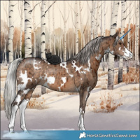 Horse Color:White Spotted Silver Brown Dun Sabino Brindle 