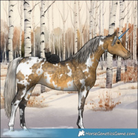 Horse Color:White Spotted Silver Buckskin Dun