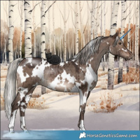 Horse Color:White Spotted Silver Brown Dun Brindle 