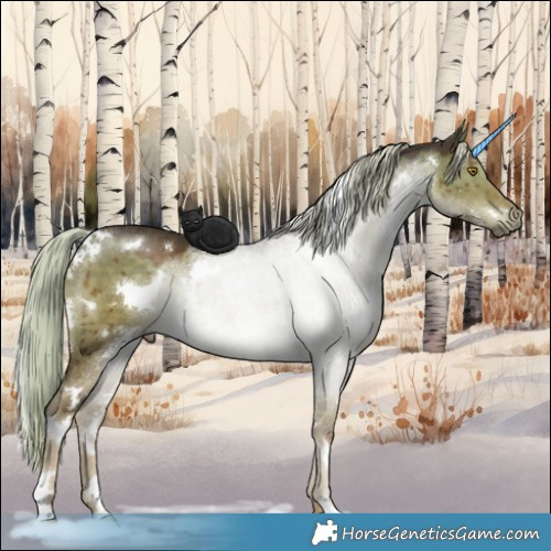 Horse Color:White Spotted Chocolate Palomino Dun Brindle 