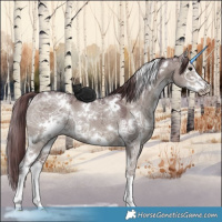 Horse Color:White Spotted Chocolate Grullo Ice Sabino 