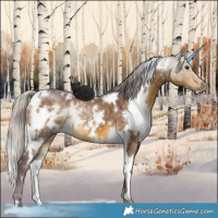 Horse Color:White Spotted Chocolate Silver Buckskin Dun 