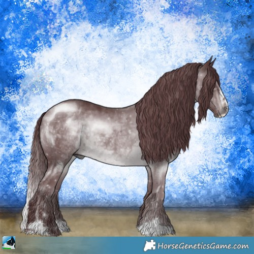 Horse Color:Chocolate Brown Chinchilla Sabino Rabicano 