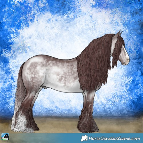 Horse Color:Chocolate Brown Chinchilla Sabino 