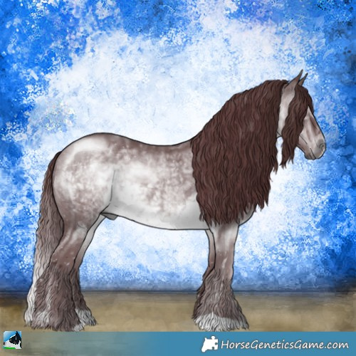 Horse Color:Chocolate Brown Chinchilla Rabicano 