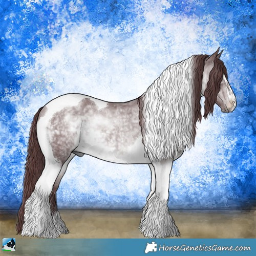 Horse Color:Chocolate Brown Chinchilla Sabino Tobiano Rabicano 