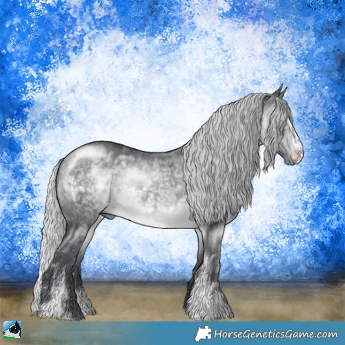 Horse Color:Silver Brown Chinchilla Sabino 