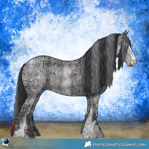Horse Color:Plaid  Grullo Chinchilla Ice Sabino 