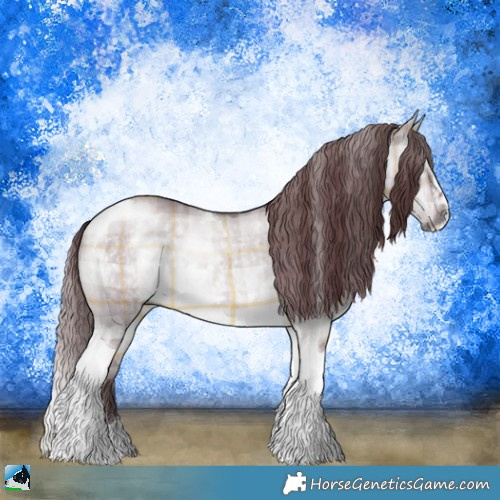 Horse Color:Plaid  Chocolate Brown Chinchilla Dun Sabino Tobiano 