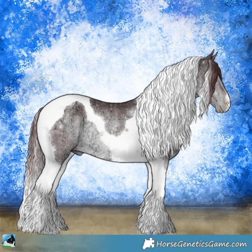 Horse Color:Chocolate Brown Chinchilla Ice Tobiano Rabicano 