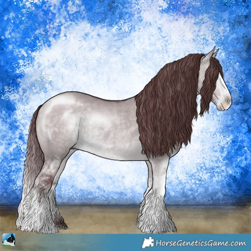 Horse Color:Chocolate Brown Chinchilla Dun Sabino Rabicano 