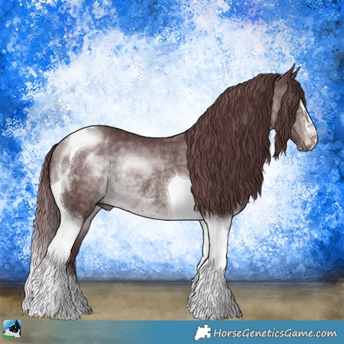 Horse Color:Chocolate Brown Chinchilla Sabino Tobiano Rabicano 