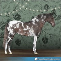 Horse Color:Platinum White Spotted Liver Chestnut Tobiano 