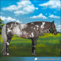 Horse Color:Platinum White Spotted Liver Chestnut