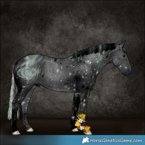 Horse Color:ERROR: UNKNOWN ANOMALY