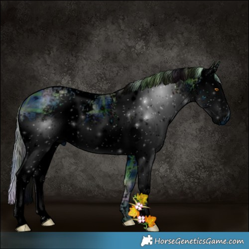 Horse Color:ERROR: UNKNOWN ANOMALY