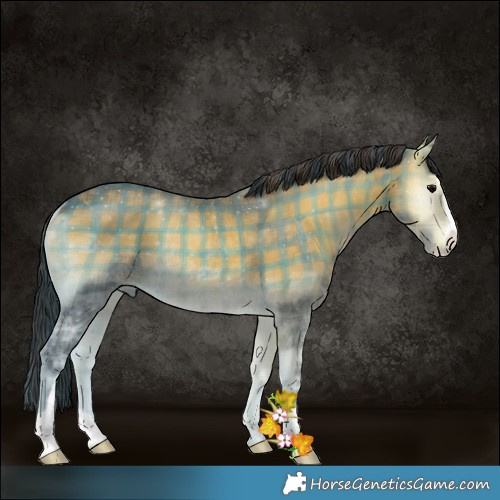 Horse Color:Plaid  Buckskin Ice Onyx Sabino Rabicano 