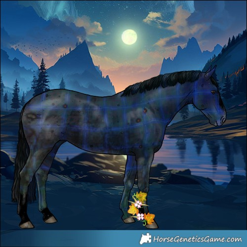 Horse Color:ERROR: UNKNOWN ANOMALY