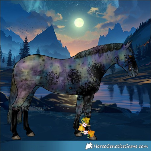 Horse Color:ERROR: UNKNOWN ANOMALY