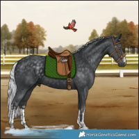 Horse Color:White Spotted Silver Black Chinchilla 