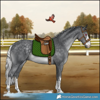 Horse Color:White Spotted Silver Black Chinchilla Rabicano 