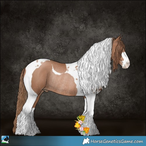 Horse Color:Black Pearl Sabino Tobiano Rabicano 