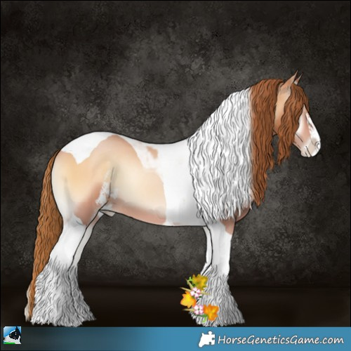 Horse Color:Bay Pearl Onyx Sabino Tobiano 
