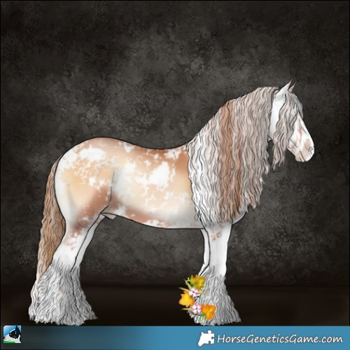 Horse Color:Bay Pearl Onyx Sabino 