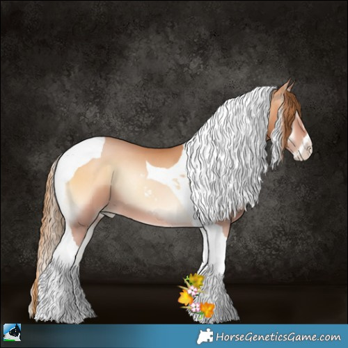 Horse Color:Bay Pearl Onyx Sabino Tobiano 