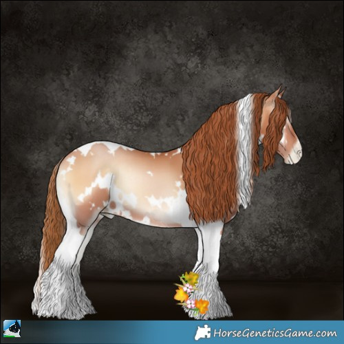 Horse Color:White Spotted Bay Pearl Onyx Tobiano 
