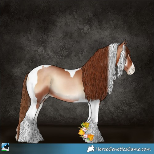 Horse Color:Bay Pearl Onyx Tobiano 
