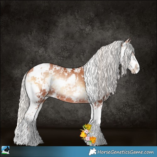 Horse Color:Silver Bay Pearl Onyx Sabino 