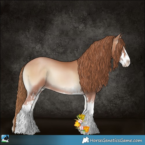 Horse Color:Blue Onyx Pearl Sabino 