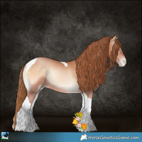Horse Color:Bay Pearl Onyx Tobiano Rabicano 