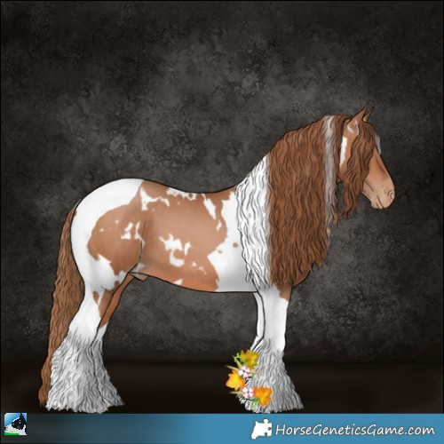 Horse Color:White Spotted Brown Pearl Tobiano 