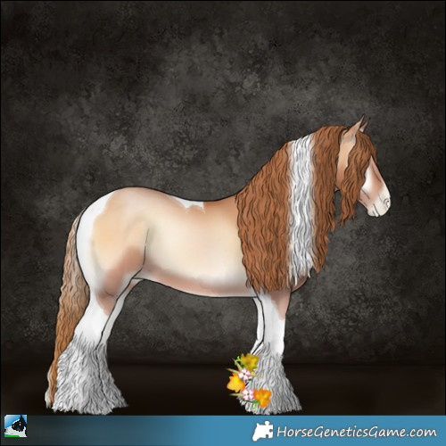 Horse Color:Bay Pearl Onyx Tobiano 